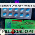 Kamagra Oral Jelly What Is It new03